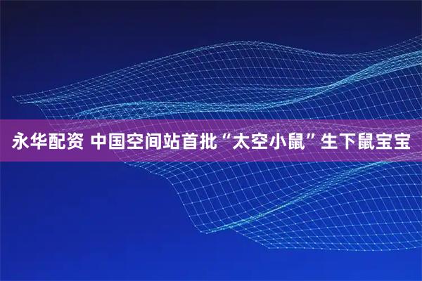 永华配资 中国空间站首批“太空小鼠”生下鼠宝宝