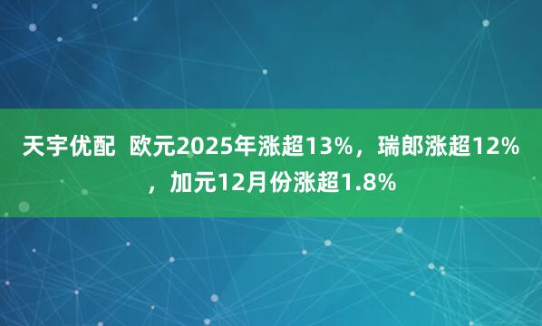 天宇优配  欧元2025年涨超13%，瑞郎涨超12%，加元12月份涨超1.8%