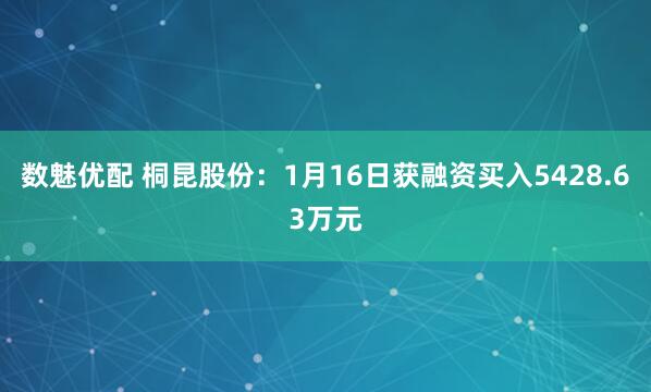 数魅优配 桐昆股份：1月16日获融资买入5428.63万元