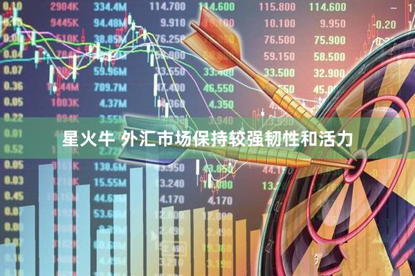 星火牛 外汇市场保持较强韧性和活力