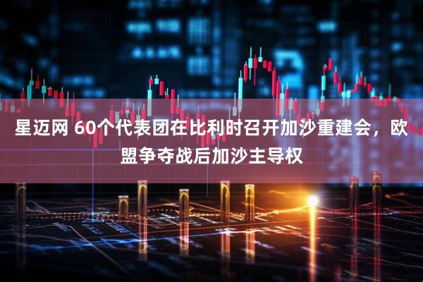 星迈网 60个代表团在比利时召开加沙重建会，欧盟争夺战后加沙主导权