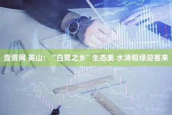 壹资网 英山：“白鹭之乡”生态美 水清稻绿迎客来